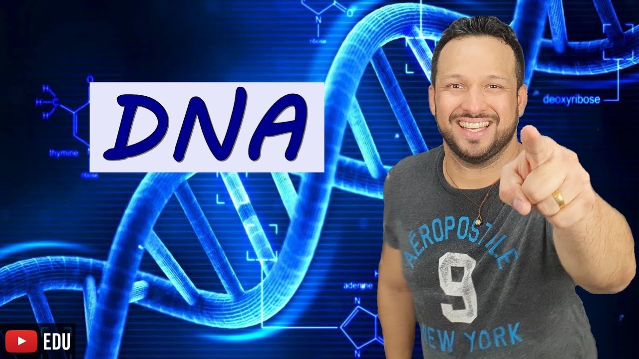 DNA (Ácido desoxirribonucleico) - Bioquímica - Biologia com o Tubarão
