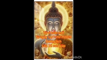 Tử vi tuần mới từ14/7-20/7/2025 của 12 con giáp