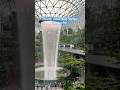 Changi Jewel Airport attractions, Singapore #jewelchangiairport #singaporeairport #singapore #jewel