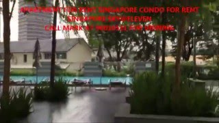 Celebrity APARTMENT FOR RENT SINGAPORE CONDO FOR RENT SINGAPORE SKY@ELEVEN Net Worth