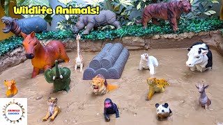 Amazing Wildlife Animals Stuck in Mud | Fun Learning for Kids with Rayan | Animals Sandbox