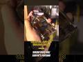 varian baru Bali Surfer's Perfume Om Danil And His Brandal Sons| Brandalan ga wanginya?