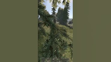 Rust: just a better Bow player #shorts #rustclips  #rustshorts