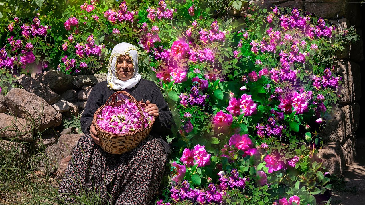 Что можно сделать с цветами, растущими у нашего порога? — Жизнь в каменном доме