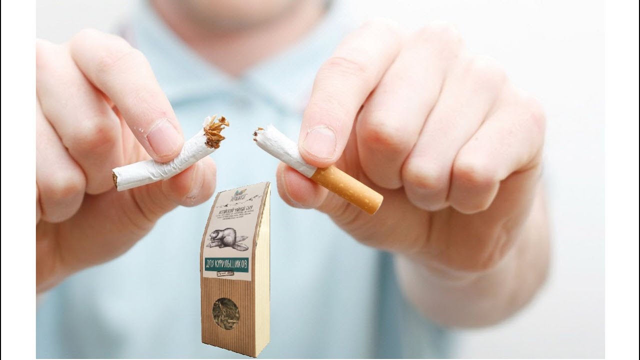 Anti-Nicotine Qiymeti