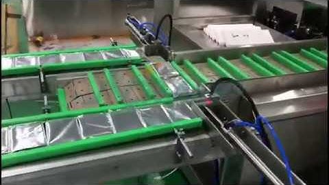 Cartoning machine for Biscuits cookies into box carton packing machine