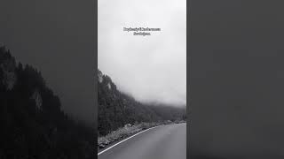 Şimdi Geldi Ağlamanın Zamani Resimi