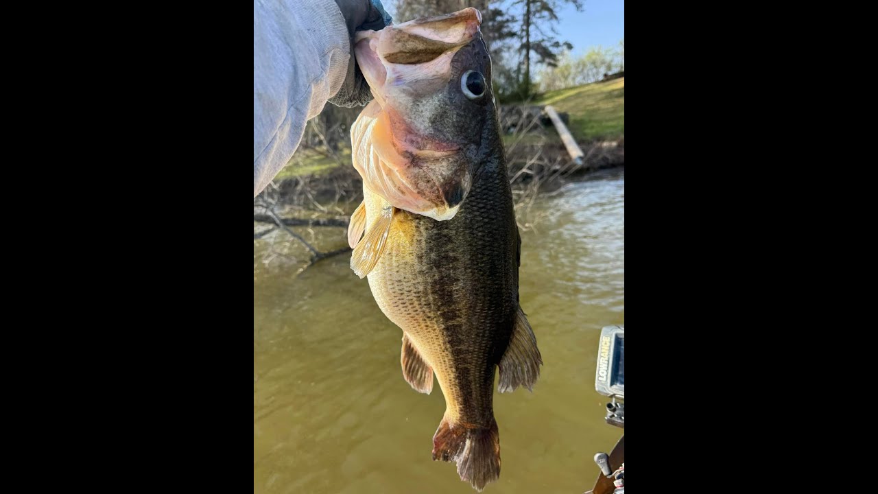 My Best Day of Kayak Bass Fishing Ever!