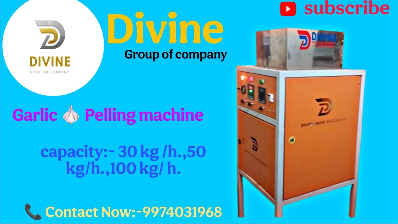 50 KG GARLIC PROCESSING PLANT INSTALLATION IN MAHARASHTRA