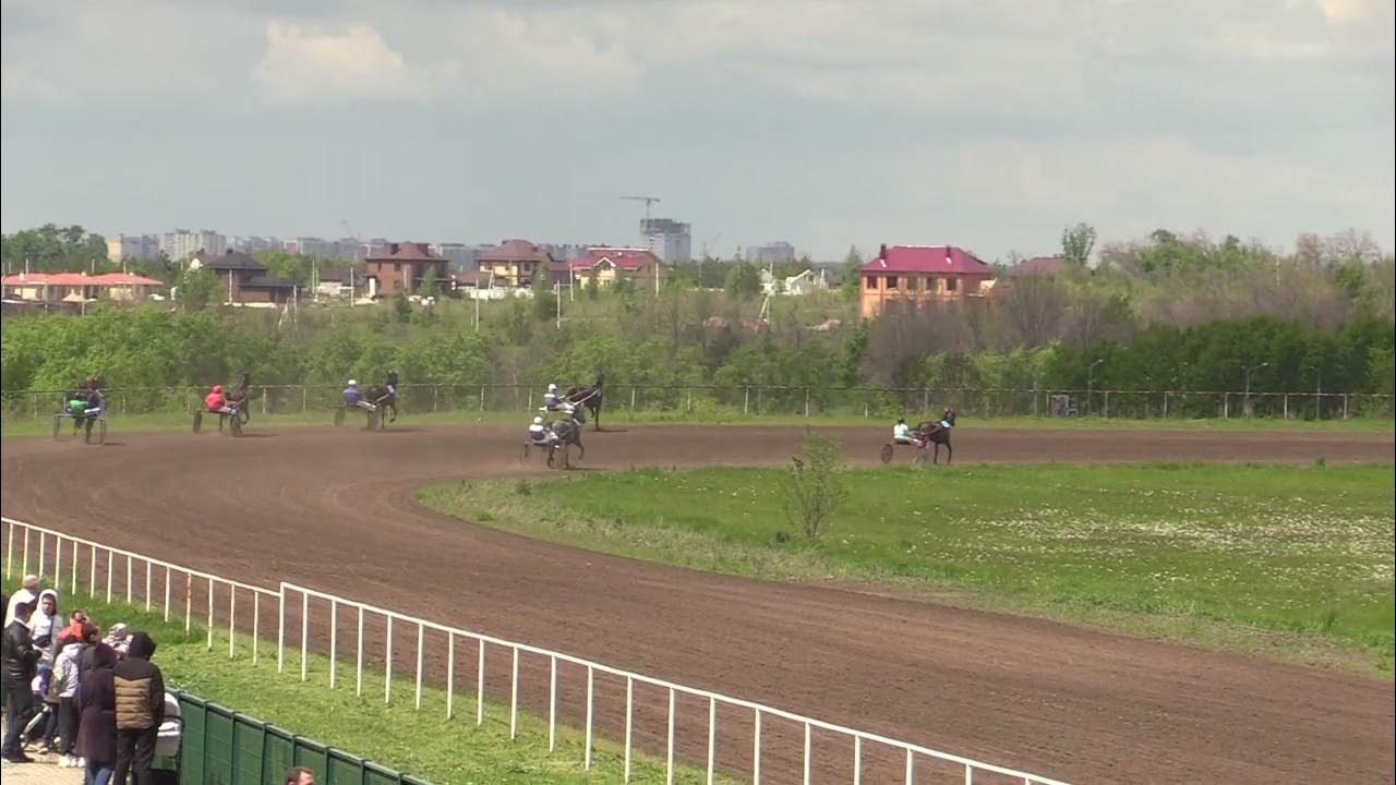 Челтенхэмский ипподром