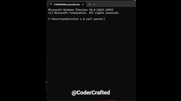 How to draw a parrot using Command Prompt? #cmd #code #codinglife #coders #parrot #commandprompt