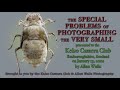 The Special Problems of Photographing the Very Small - A Presentation