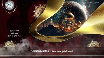 سورة القصص كاملة - هادئة تهز الكون - قران كريم بصوت جميل تلاوة - الشيخ عبيدة موفق