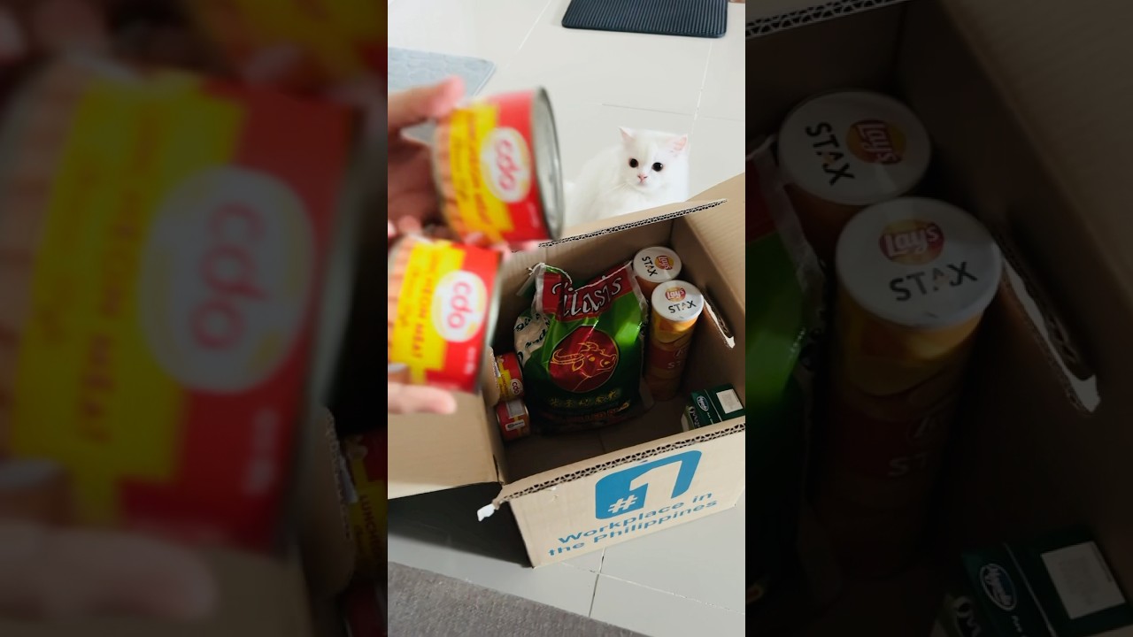 Unboxing perks box from work with Carrot 😻 