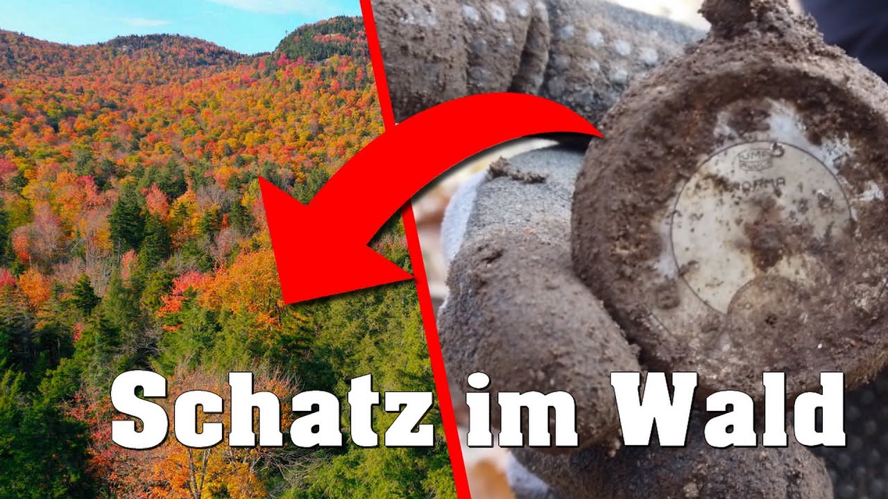 Mysteriöse Fässer im Waldboden gefunden!