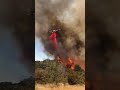 LA Wildfires 2025 🥲🠥🠏 Losangeles News Palisadesfire Wildfire Viralvideo New Fyp Newyear LA Wildfires 2025 🥲🠥🠏 Losangeles News Palisadesfire Wildfire Viralvideo New Fyp Newyear