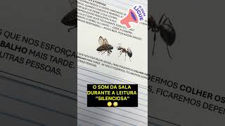 📚 “Leitura silenciosa” no início da alfabetização?