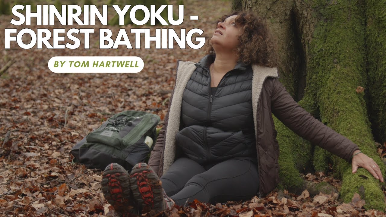 Shinrin Yoku - Forest Bathing - YouTube