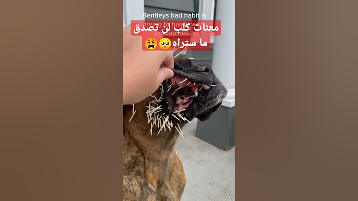 لن تصدق ما تراه كلب يتعدب😩#shorts #shortvideo #السعودية #الجزائر #الكويت #المغرب #عمان #سبحان_الله