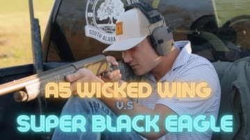 Browning A5 Wicked Wing VS Super Black Eagle 3 - TURKEY PATTERN TEST