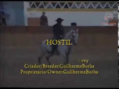 Hostil JGB - Video 1