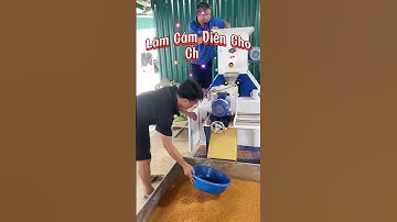 Máy Ép Cám Viên Nổi Cho Cá 100K Bình An | Cách Tạo Ra Viên Cám Nổi Đảm Bảo Nguồn Dinh Dưỡng Cao