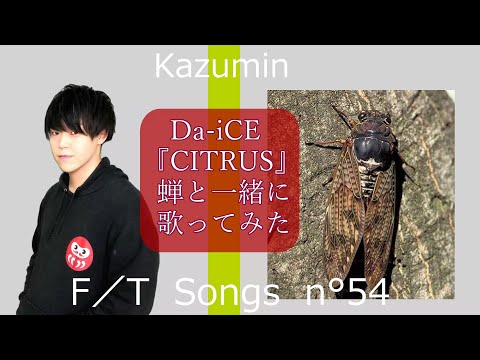 【蝉と一緒に歌ってみた】Da-iCE (大野雄大・花村想太) - CITRUS / THE FIRST TAKE covered by かずみん