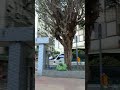 Taiwan Prep Before The Super Typhoon Oct 2024