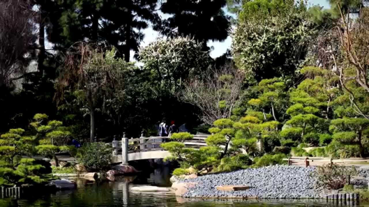 Earl Burns Miller Japanese Garden Csulb Youtube