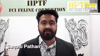 IIPTF - FELINE CLUB OF INDIA CONVENTION, DELHI by The Feline Club of India 323 views 4 years ago 1 minute, 31 seconds