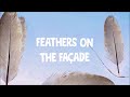 Feathers On The Façade