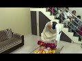 PM Modi pays respect to his mother Heeraben Modi at Gandhinagar residence.