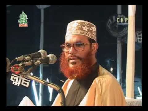 Delwar Hossain Sayeedi Allah Siristir Bishalota