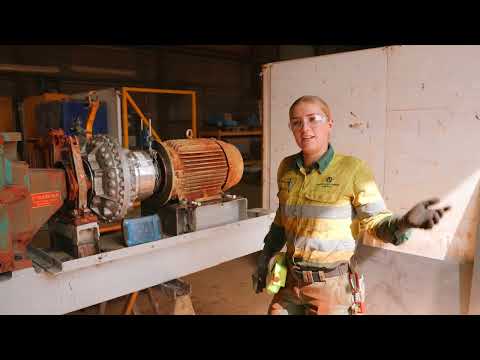 Heavy Duty Mechanic Job Description