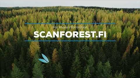 SCAN FOREST Research Infrastructure - Understanding ecosystems through point clouds