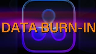 DaVinci Resolve 19 - Data Burn In