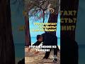 - Боль в ногах, усталость, жир на талии? Пробуйте это упражнение из Тайцзи! #жир  #цигун