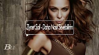 Ziynet Sali - Daha Nasıl Sevebilirim ( Burak Yılmaz Remix ) Resimi