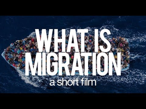 Video: Wat Is Migratie?