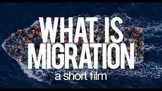 What is migration : A short film