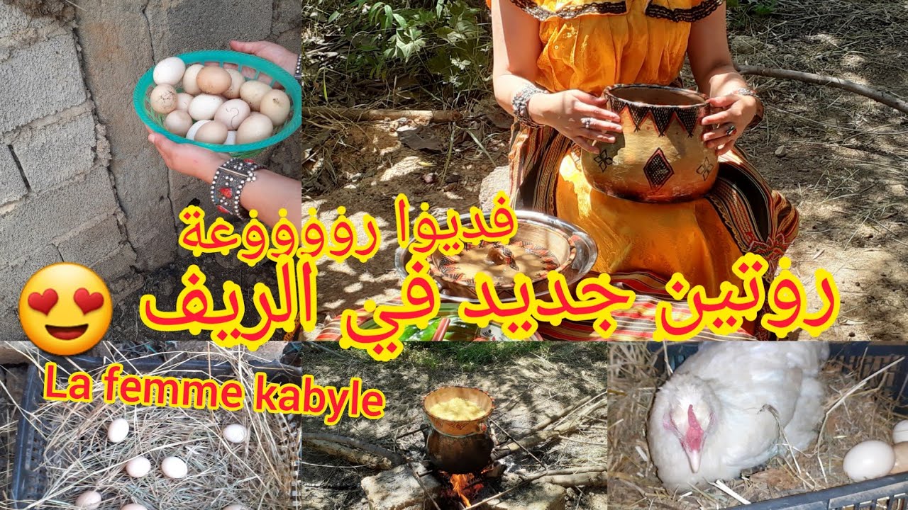 أقوى و أروع روتين في الريف🤩ديتكم تشفوا كفاش نجمعوا لبيض تاع لجاج🤣طيبت أكلة تقليدية بنينة بزاااف💗