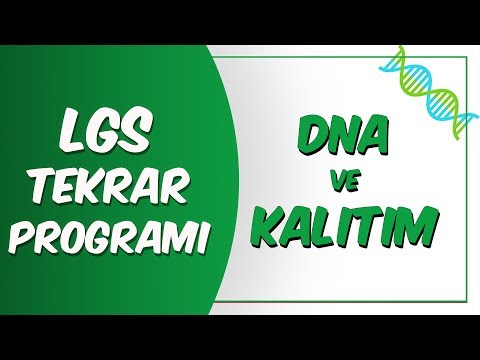 LGS Tekrar Programı Fen | Dna ve Kalıtım