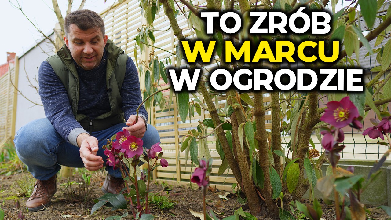 Co zrobić w marcu w ogrodzie. Prace ogrodowe krok po kroku. Marzec 2024 w ogrodzie #garden