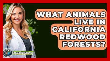 What Animals Live In California Redwood Forests? - Earth Science Answers