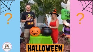 10 Halloween Gender Reveal Ideas Of 2019 Youtube