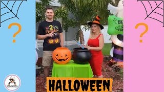 10 Halloween Gender Reveal Ideas of 2019