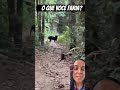 O que vc faria