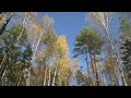 Одиночный поход с ночевкой. Путь вдоль заповедника.Часть1/ Hiking alone/Part1