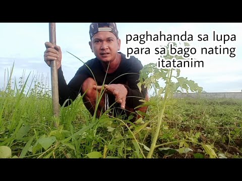 Video: Paghahanda Ng Lupa