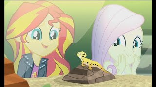 Reacting To My Little Pony Equestria Girls - Pet Project Canterlot Short